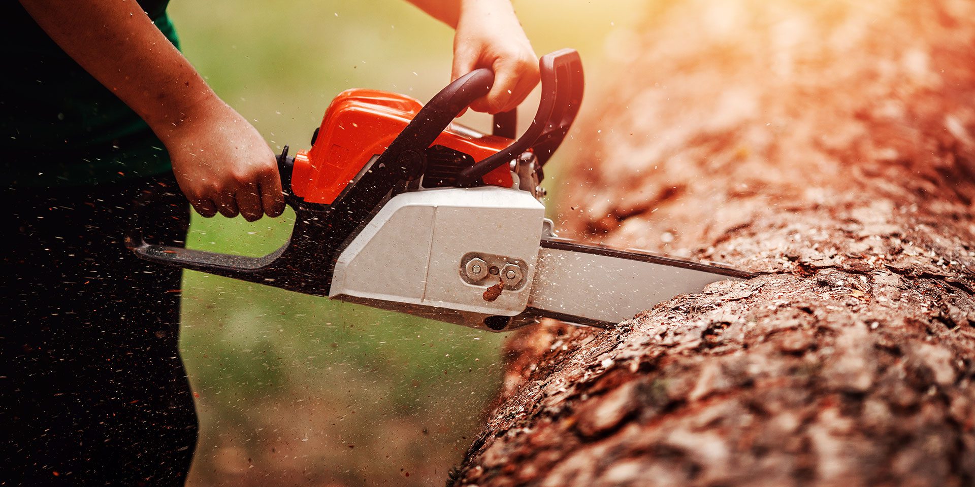 Chainsaw work with wood