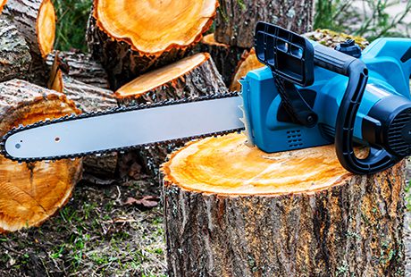 Woodcutter sawing chain saw